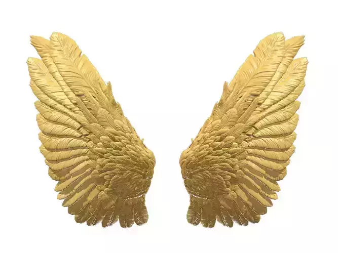 Wings Printable 01 3D print model