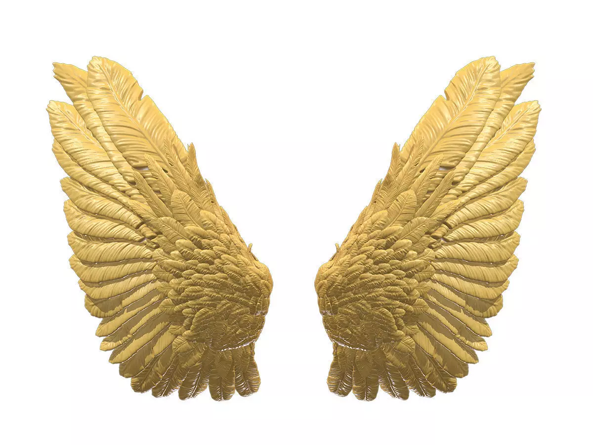 Wings Printable 01 3D print model