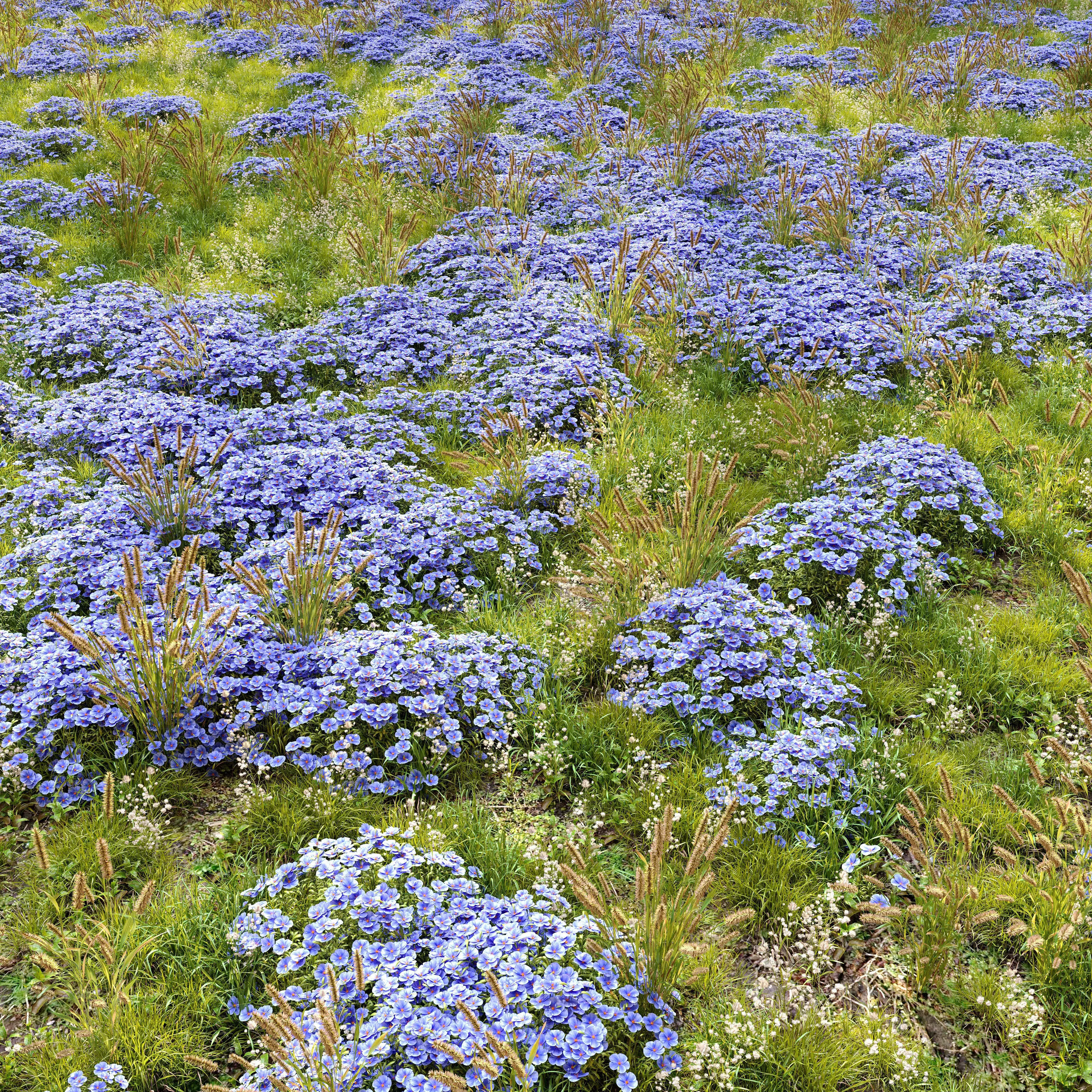 Meadow 4 flowers in 3D model_0