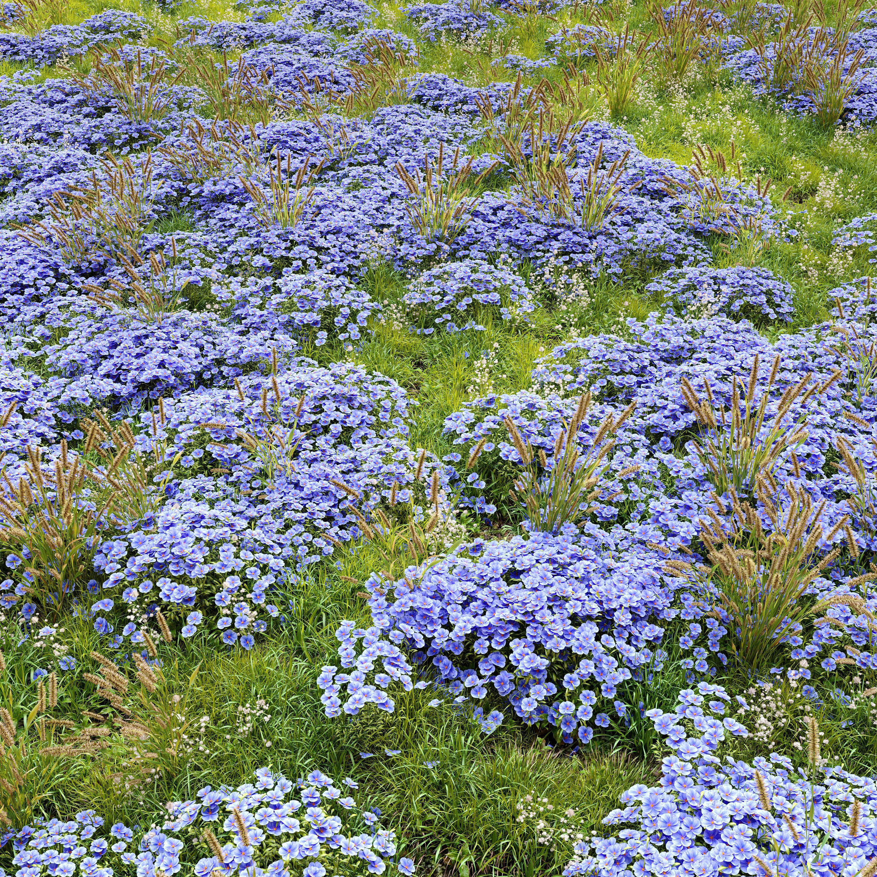 Meadow 4 flowers in 3D model_2