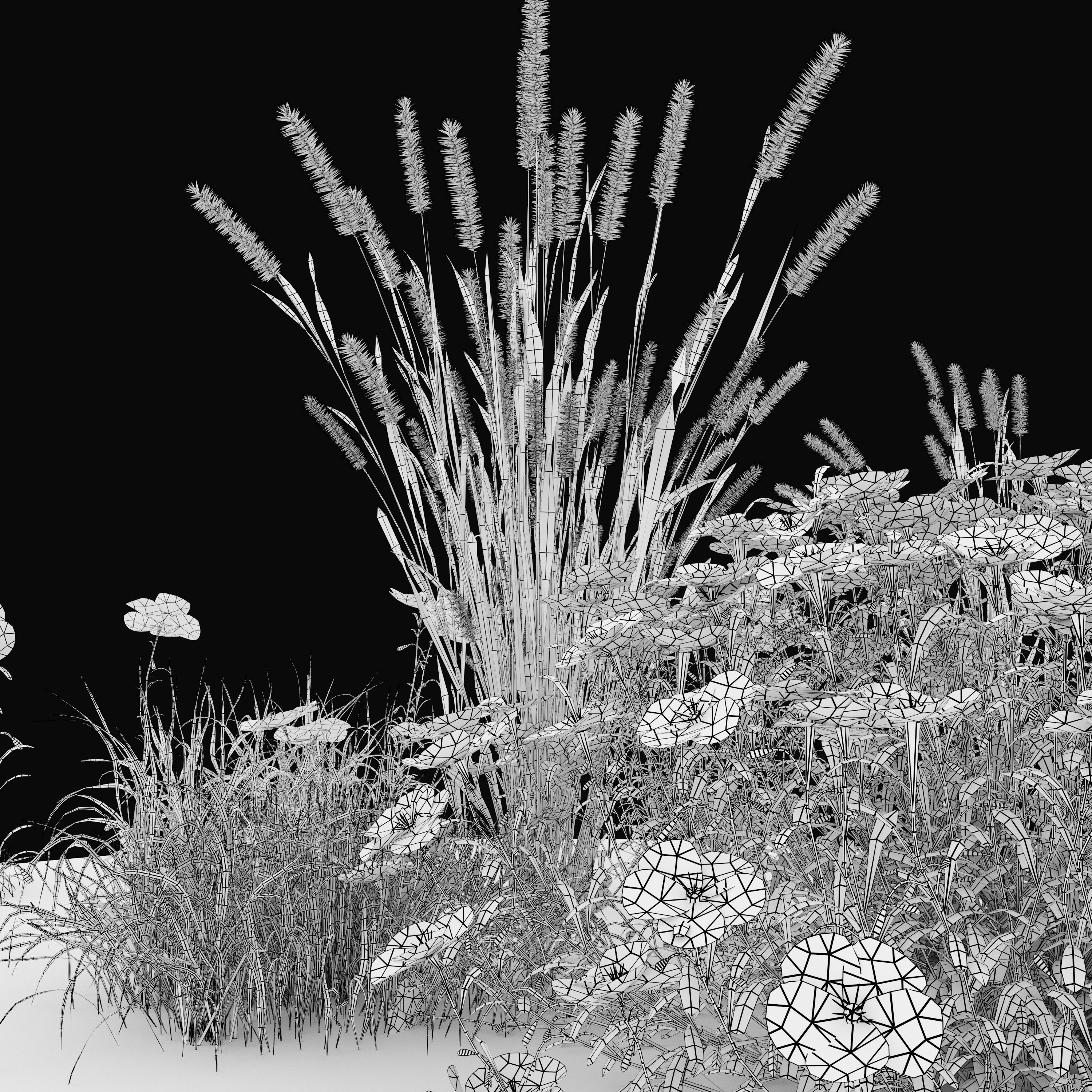 Meadow 4 flowers in 3D model_6