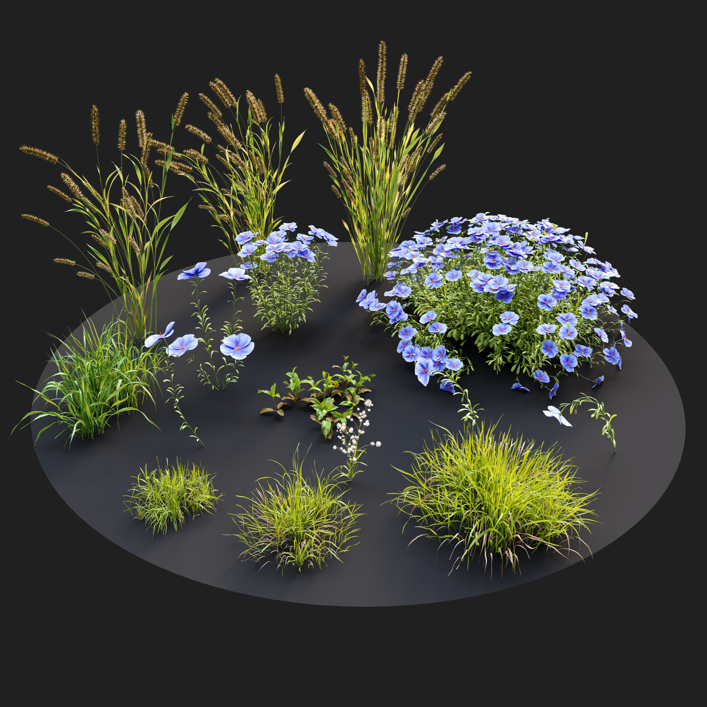 Meadow 4 flowers in 3D model_3