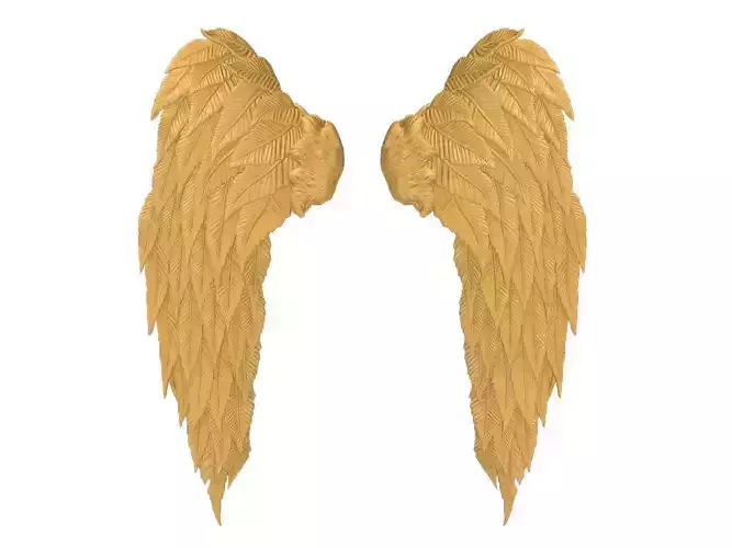 Wings Printable 03 3D print model