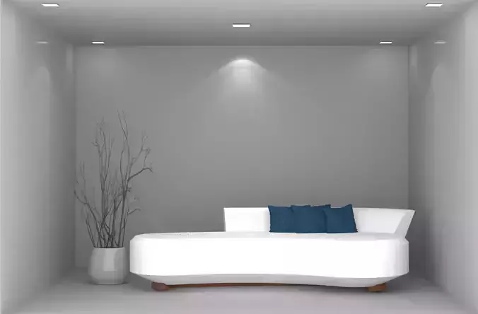 curve sofa with pillow