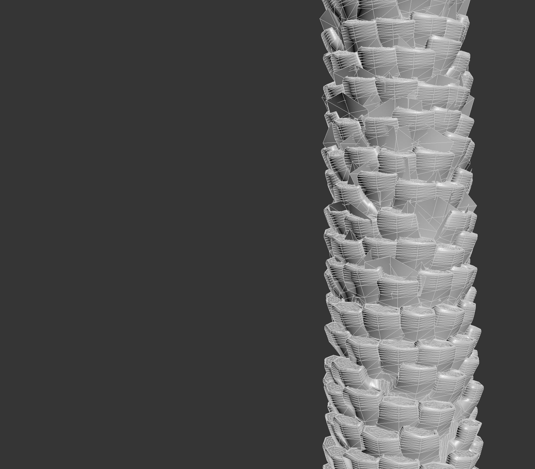 Phoenix Dactylifera 3D model_4