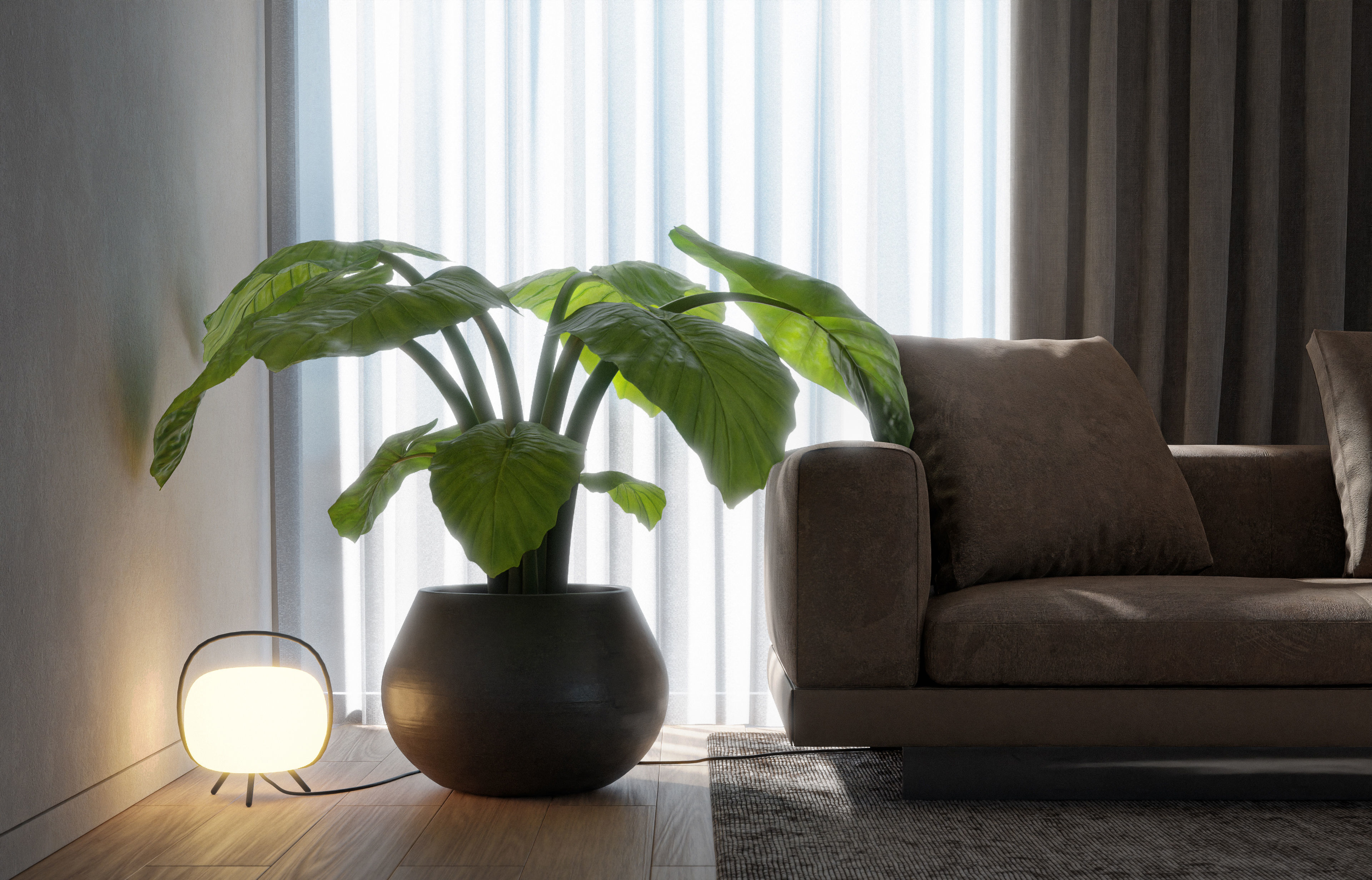 Interior Plant Elephant Ear 3D model_3
