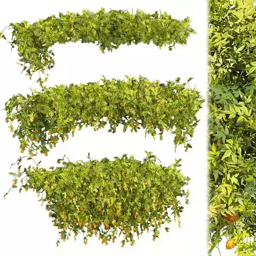 Collection plant vol 353 - leaf - phytowall - bush - flower 3D model