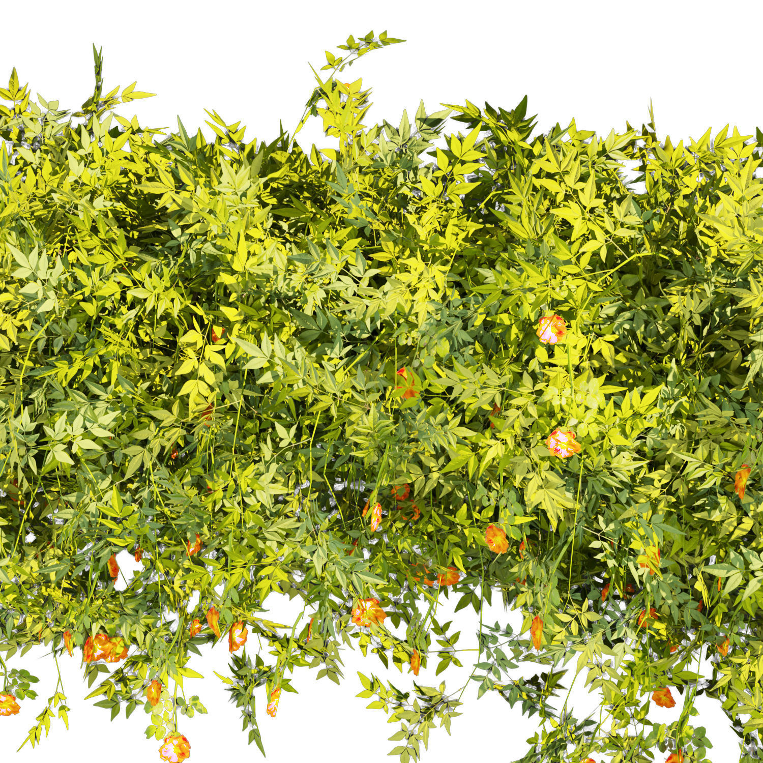 Collection plant vol 353 - leaf - phytowall - bush - flower 3D model_3