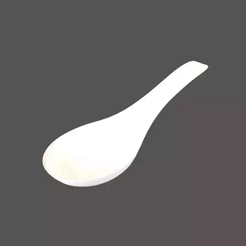 Rice Spoon v1 002