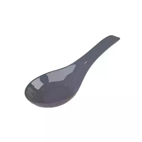 Rice Spoon v1 005