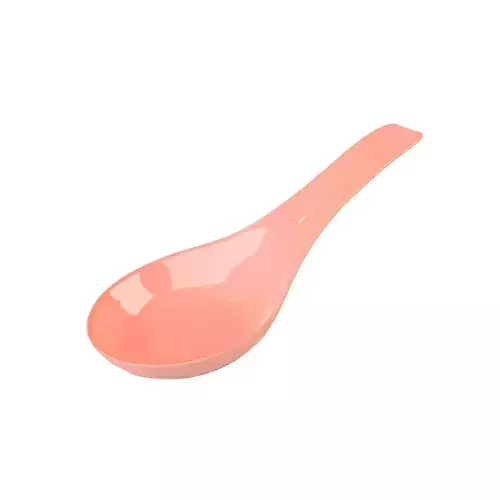 Rice Spoon v1 006