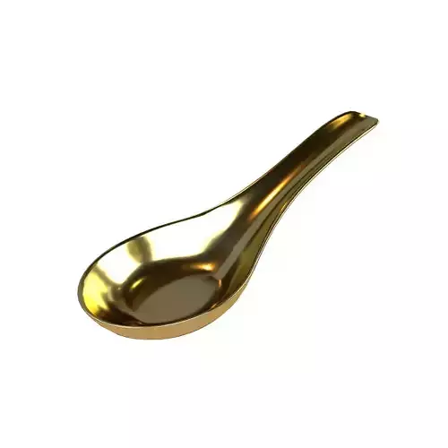 Rice Spoon v1 009