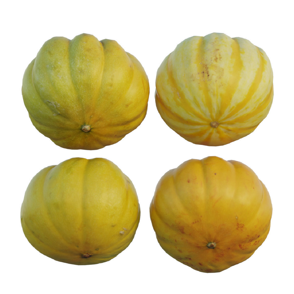 Mini Pumpkin 02 3D model_3