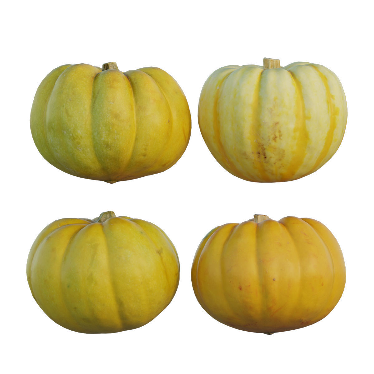 Mini Pumpkin 02 3D model_1