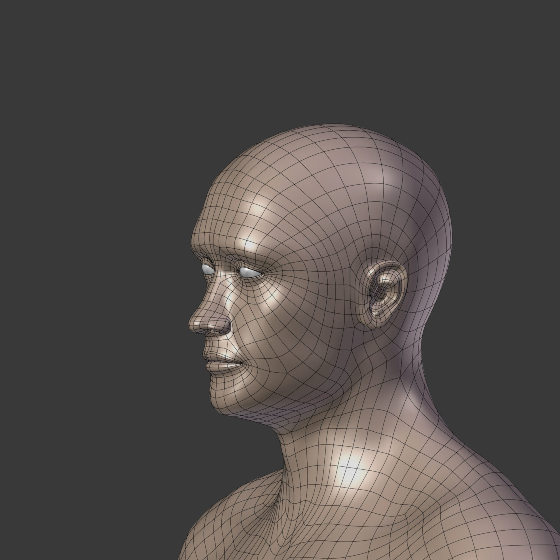 Surfer -- 3 Skin Textures Low-poly 3D model_29