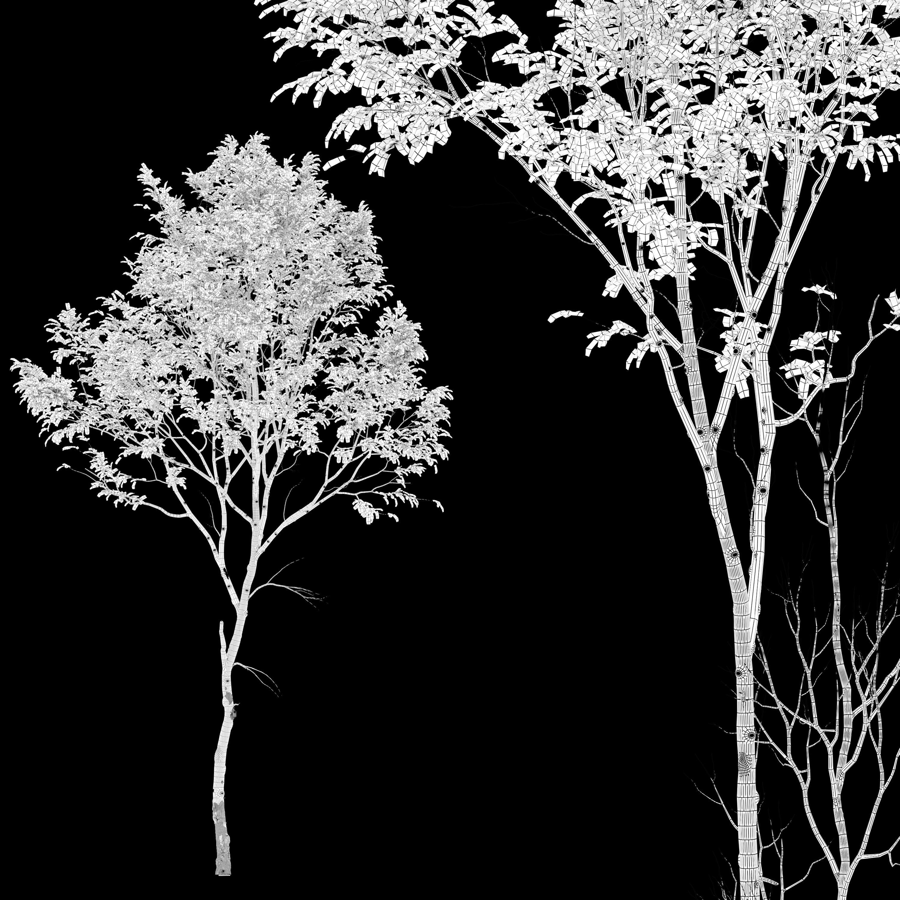 Jungle trees set 3D model_6