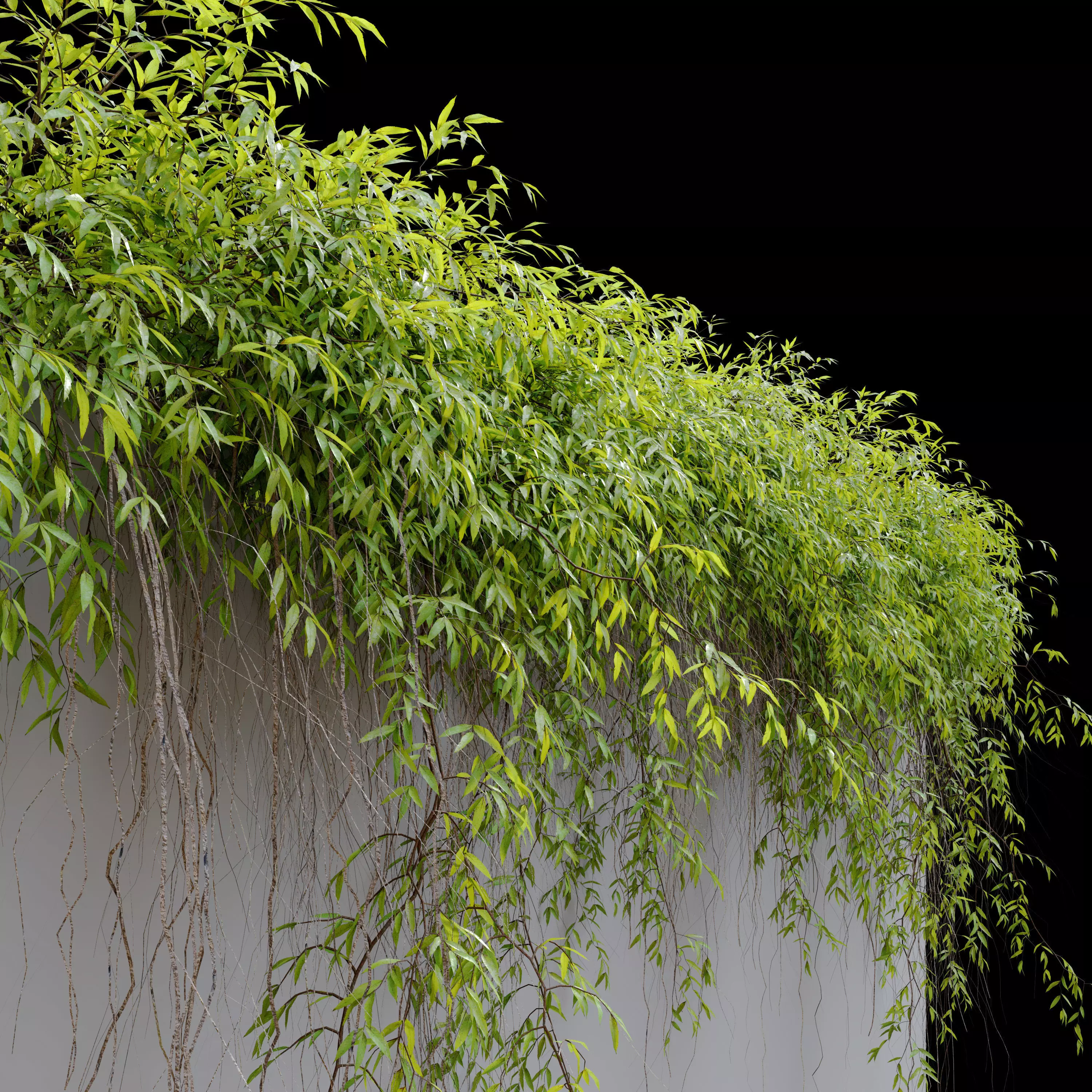 Hanging Plant 25 3D model_0