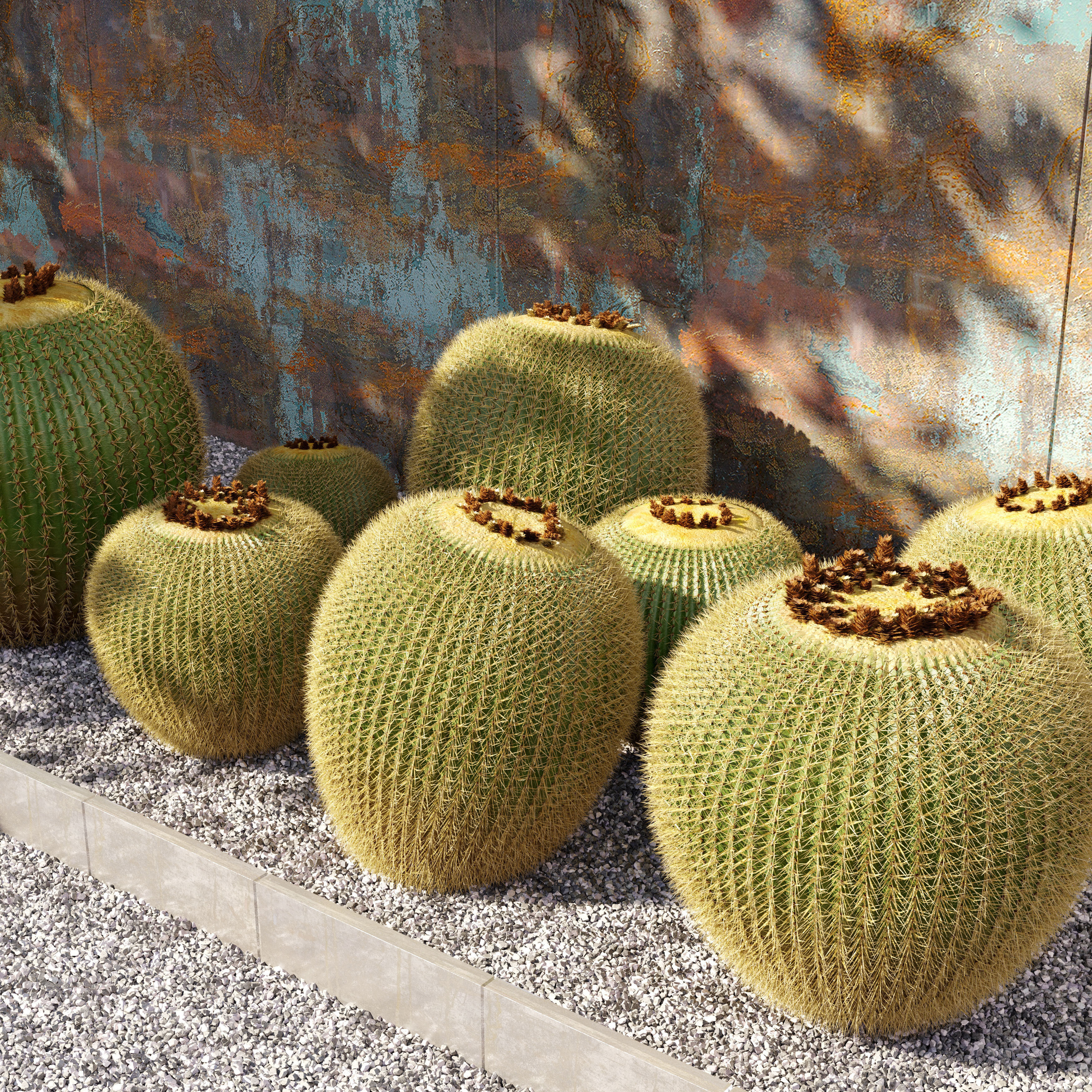 Golden barrel cactus 2 3D model_2