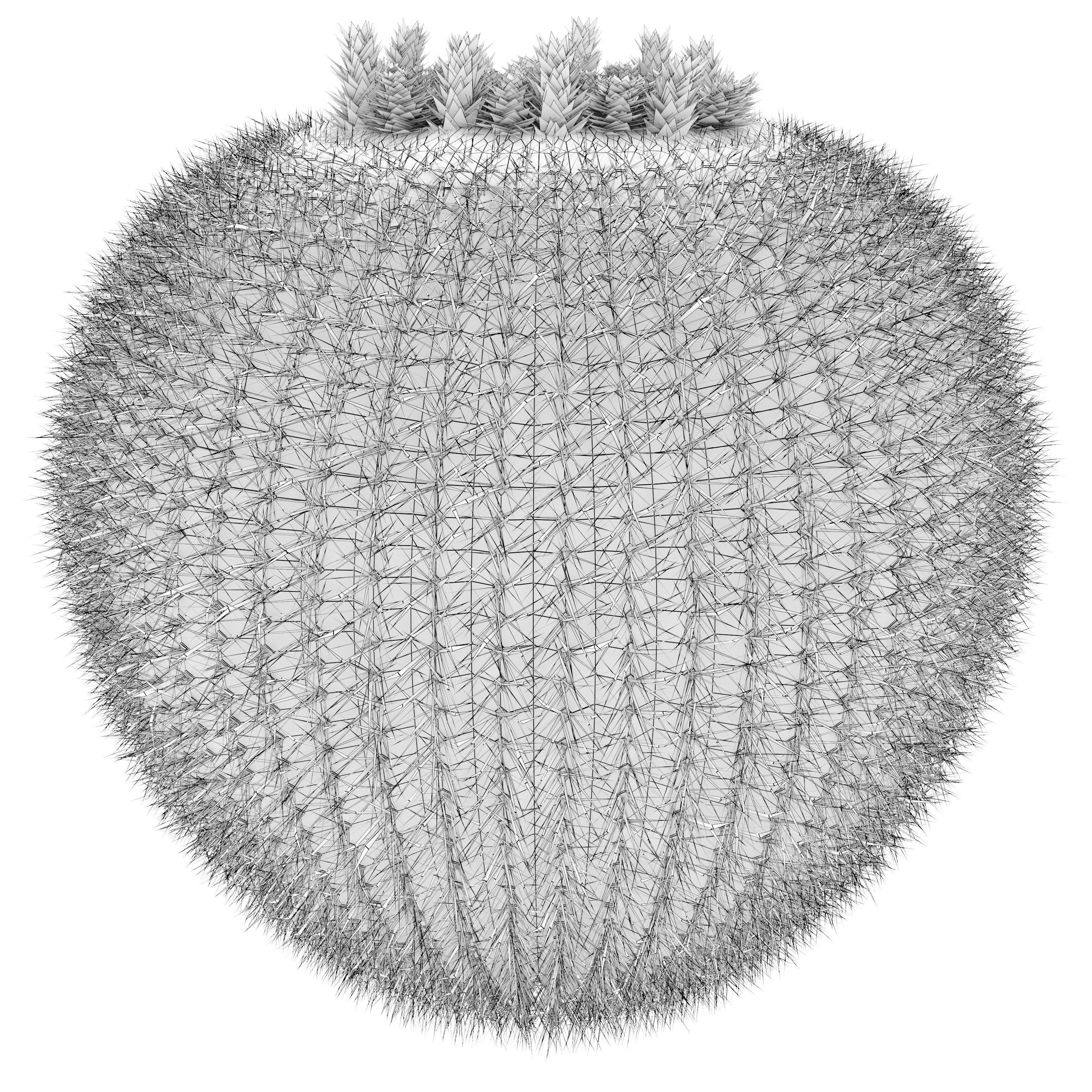 Golden barrel cactus 2 3D model_6