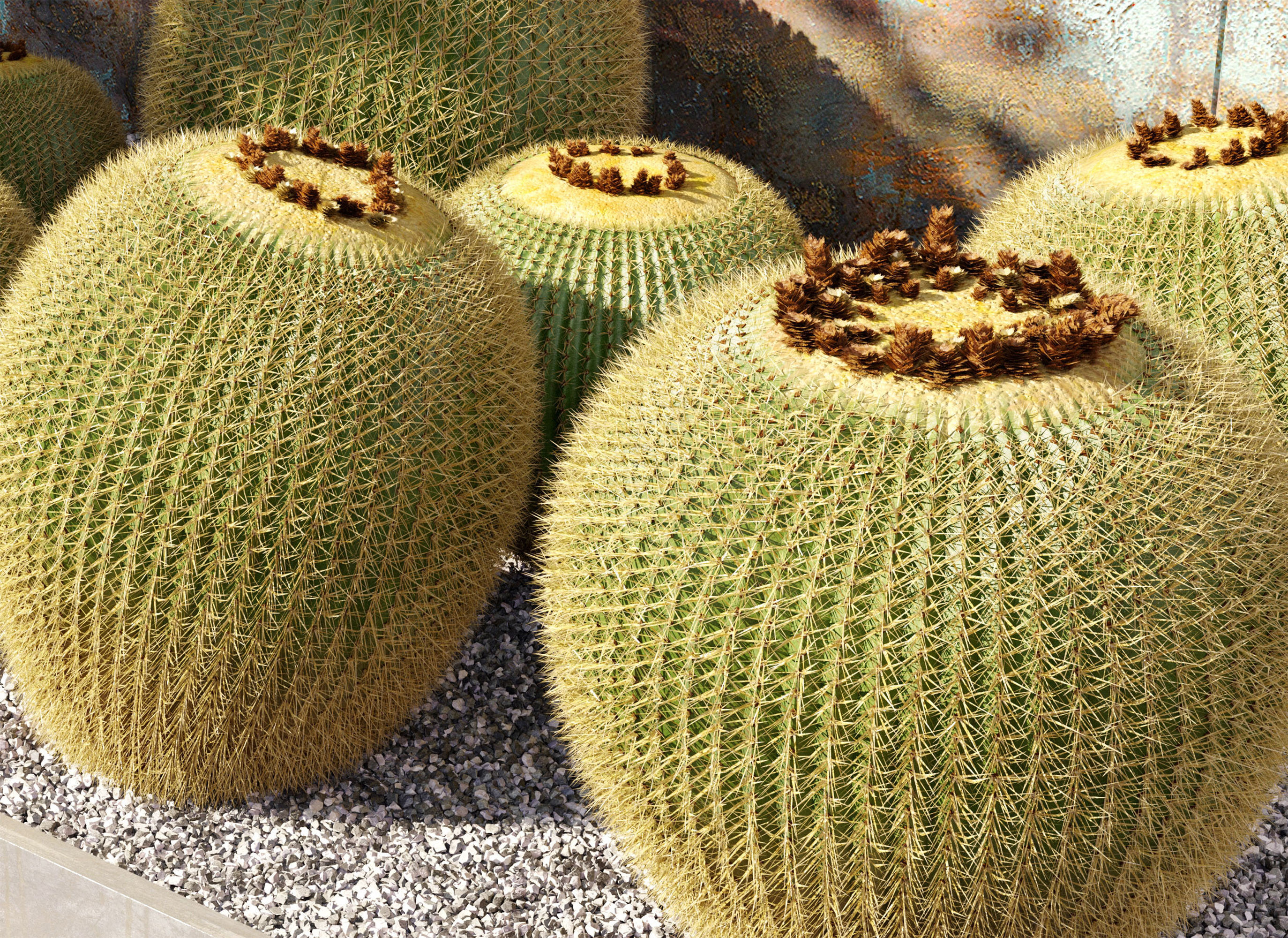 Golden barrel cactus 2 3D model_5