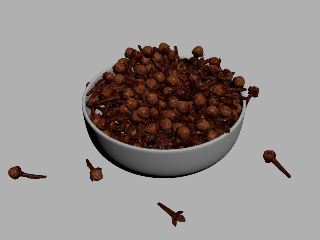 Clove spice 3D model_6