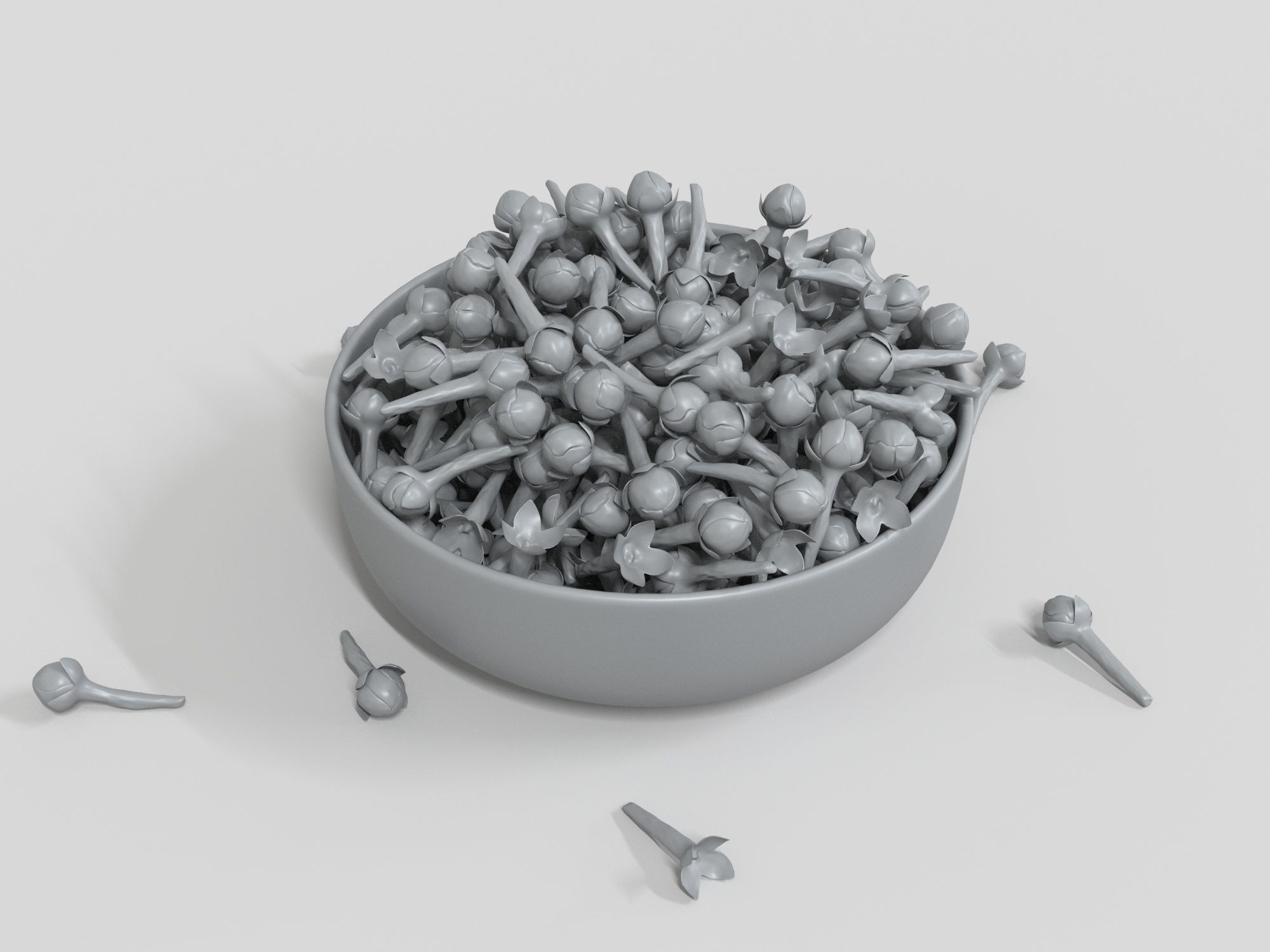 Clove spice 3D model_4