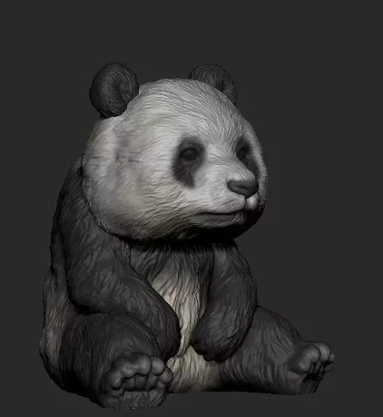 PANDA BEAR VASE 3D print model_0