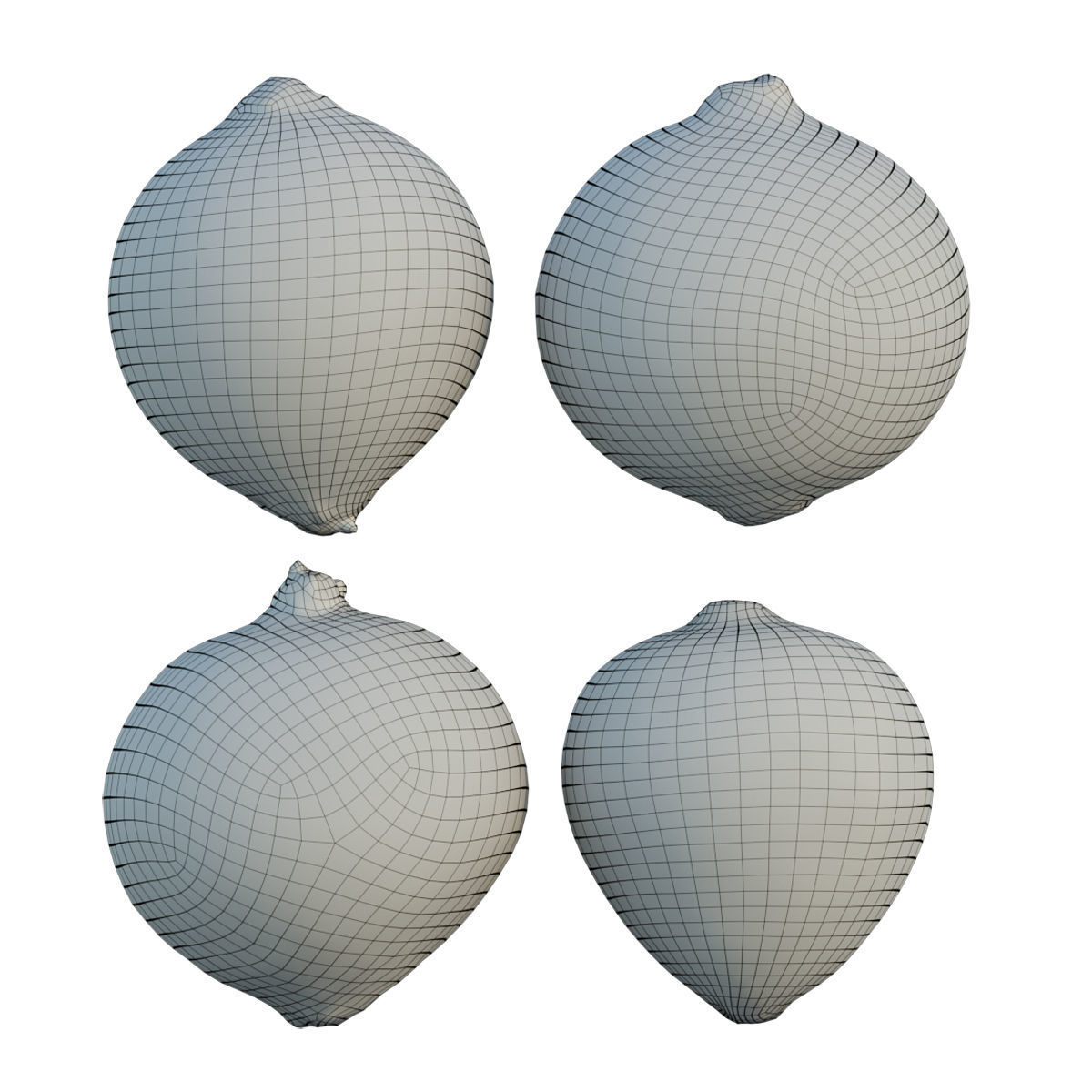 Onion 02 3D model_10