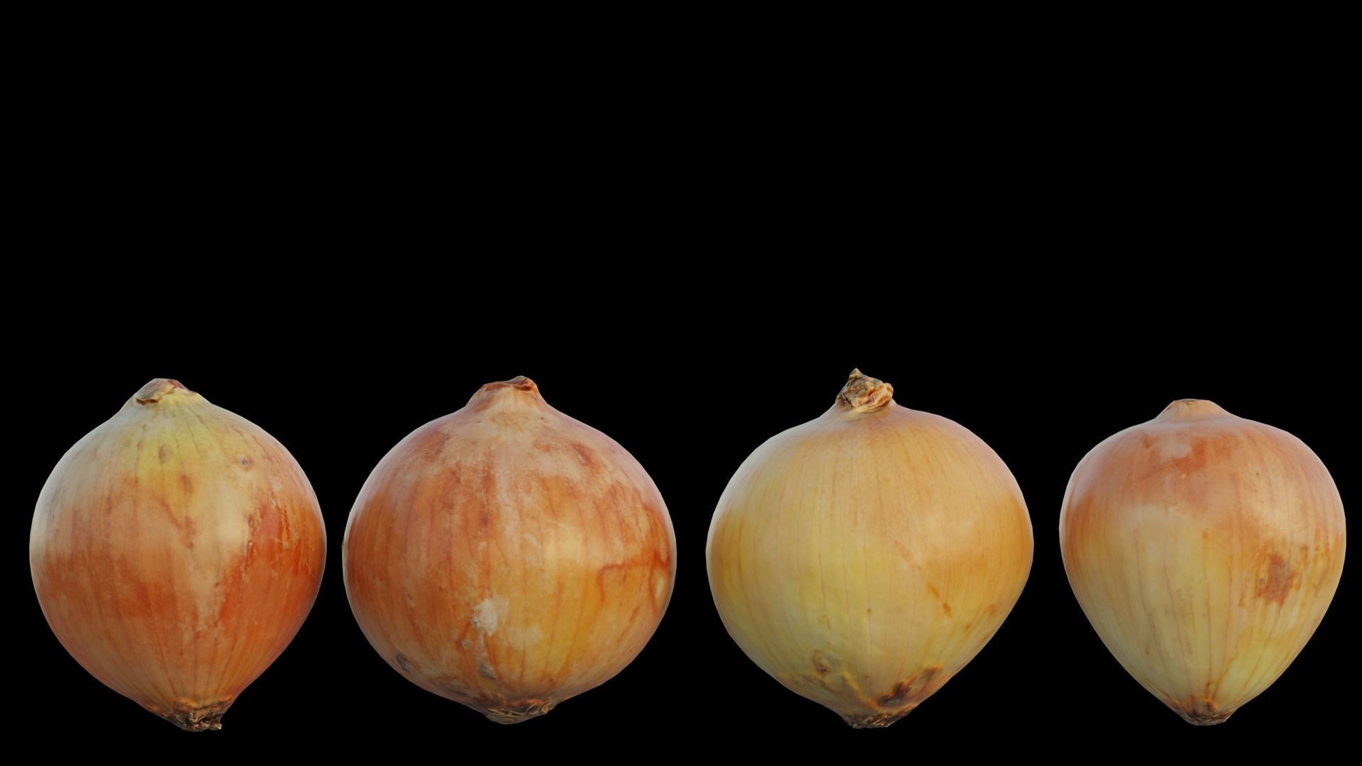 Onion 02 3D model_1