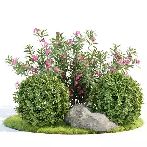 Garden plants collection vol 113 3D model