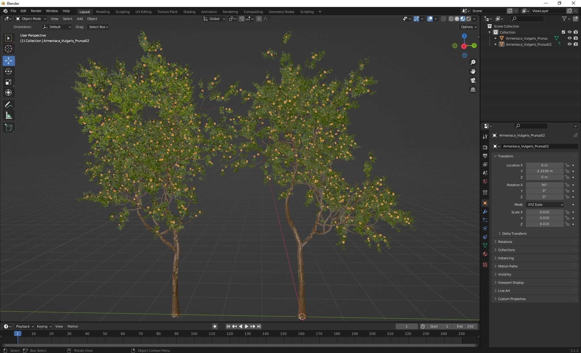 New Plant High detail Armeniaca Vulgaris Prunus 3D model_5