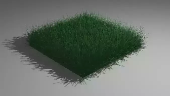 grass square of