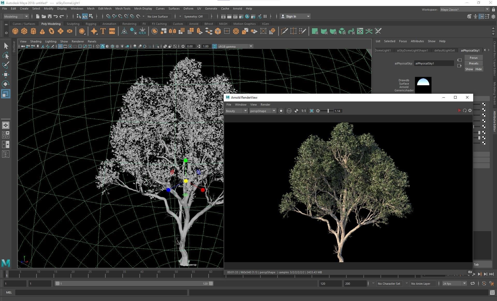 New Plant High detail Acer Pseudoplatanus03 3D model_5