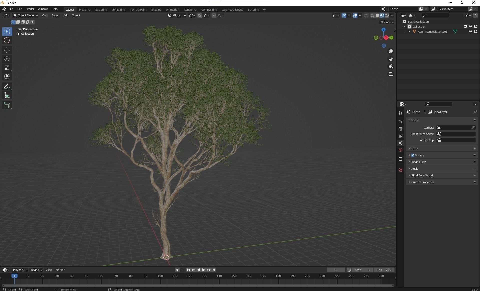 New Plant High detail Acer Pseudoplatanus03 3D model_4