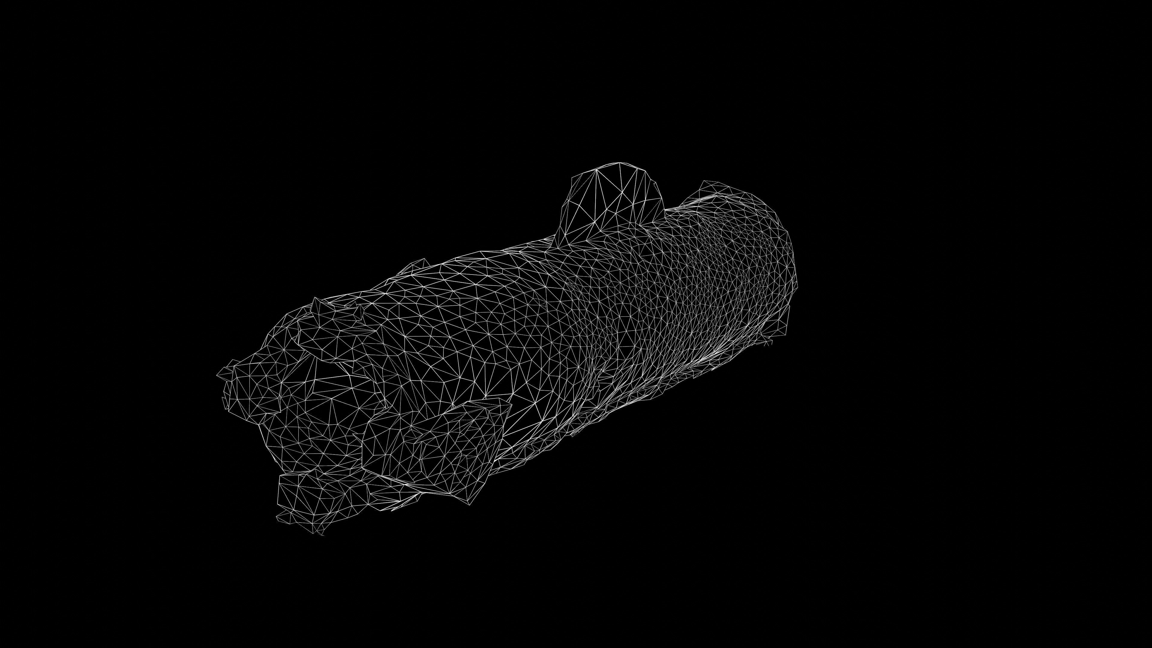 Destroyed OTR-21 SS-21 Scarab Tochka-U P2 Photoscan Game Ready Low-poly 3D model_38