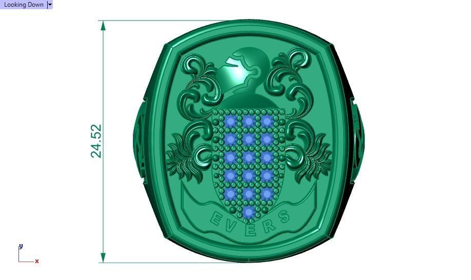 Evers ring 3D print model_6