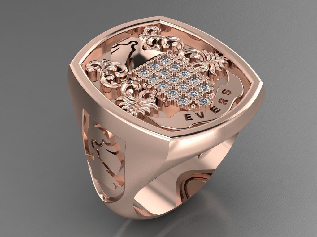 Evers ring 3D print model_3