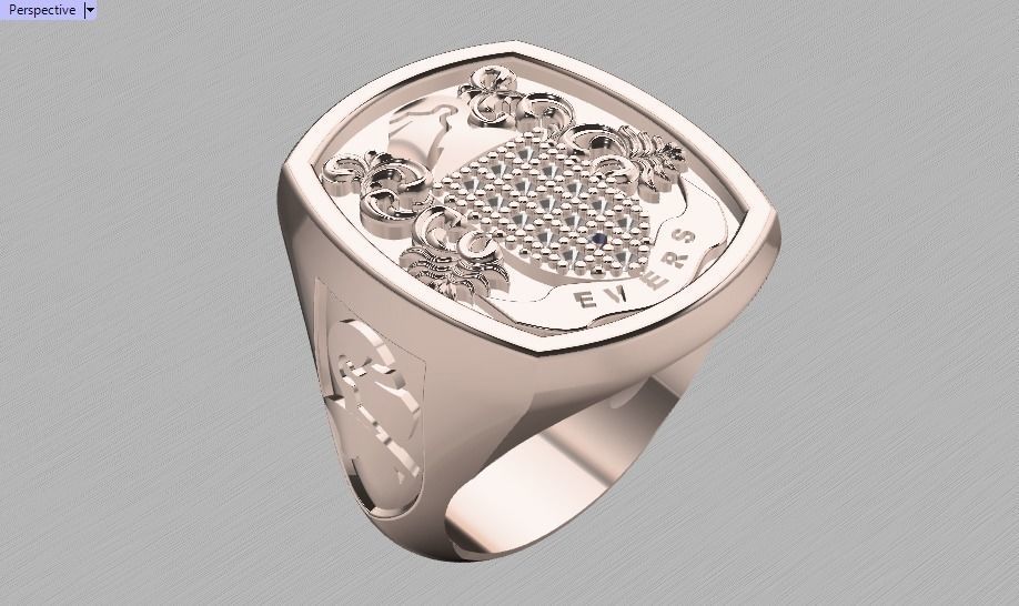Evers ring 3D print model_10