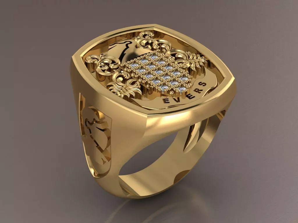 Evers ring 3D print model_0