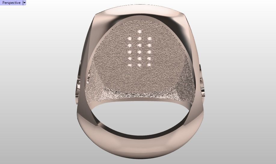 Evers ring 3D print model_19