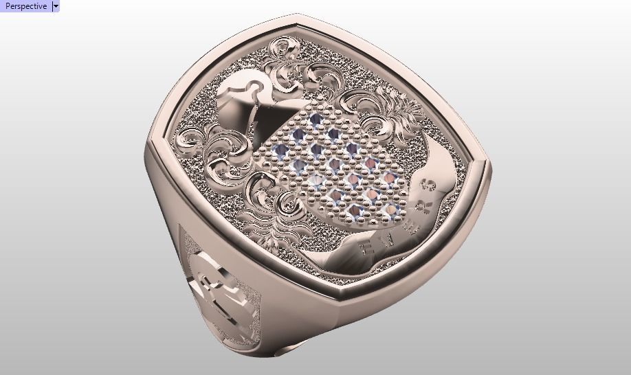 Evers ring 3D print model_18