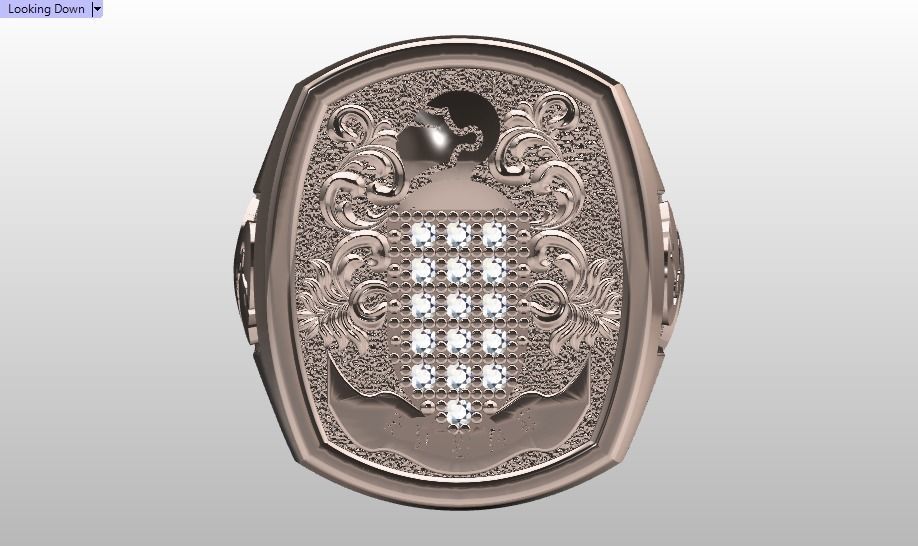 Evers ring 3D print model_20