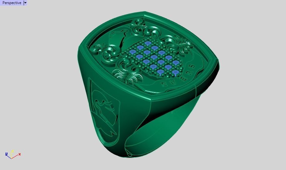 Evers ring 3D print model_21