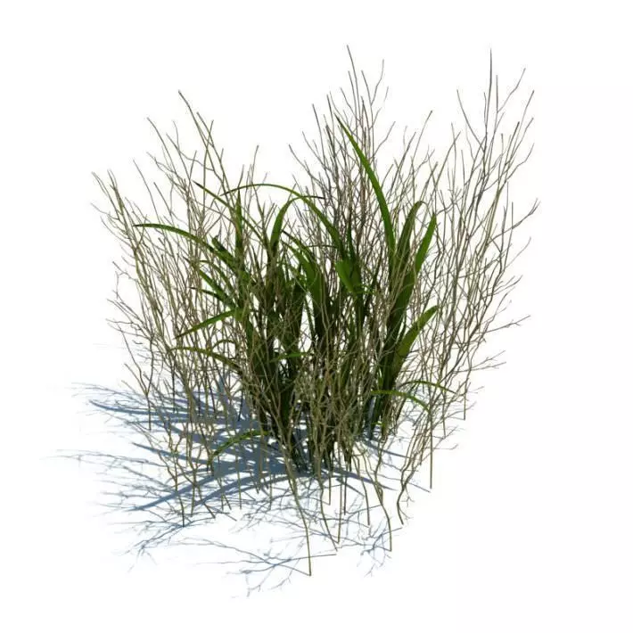 Green Simple Grass 3D model_0