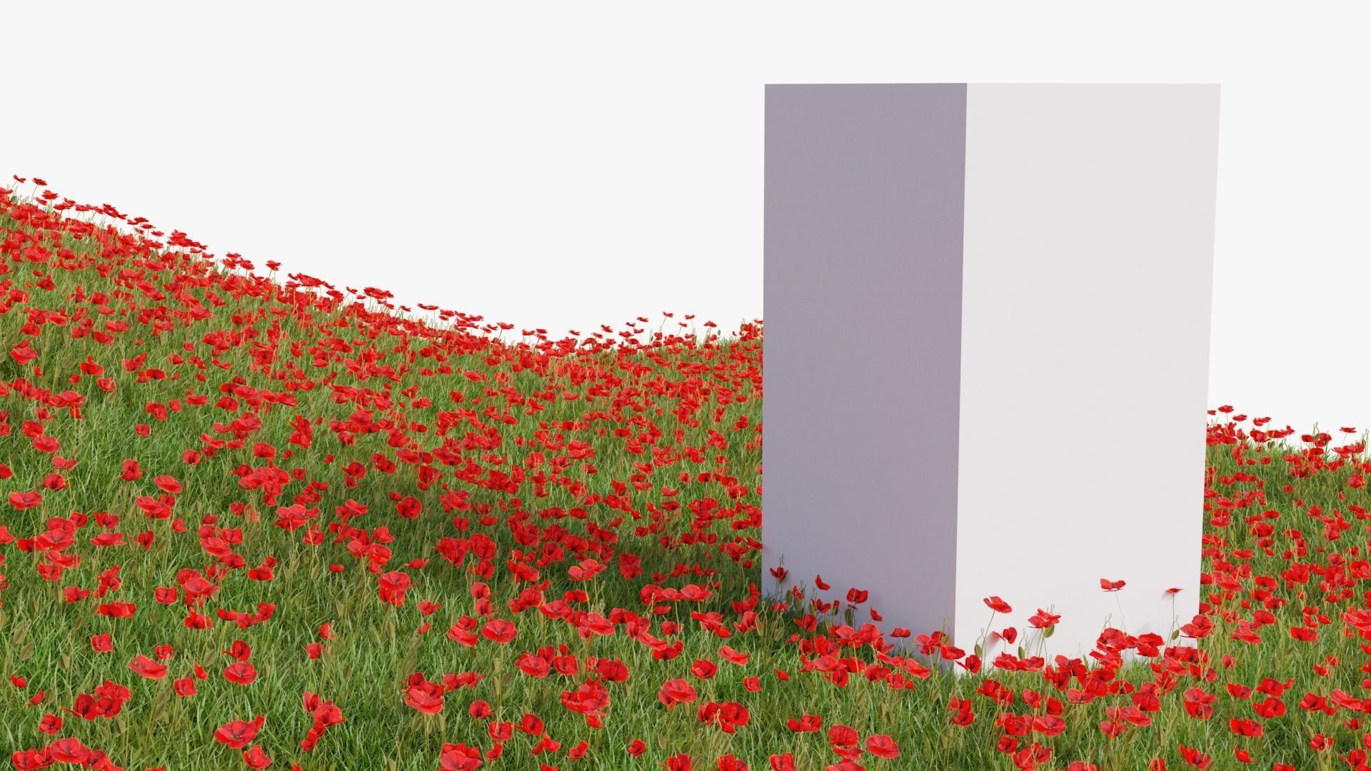 Poppy Field Low-poly 3D model_3