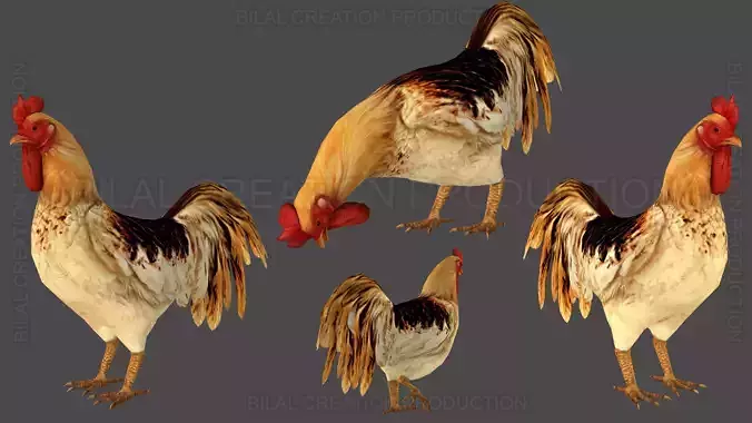 Rooster Animated Low-poly 3D model