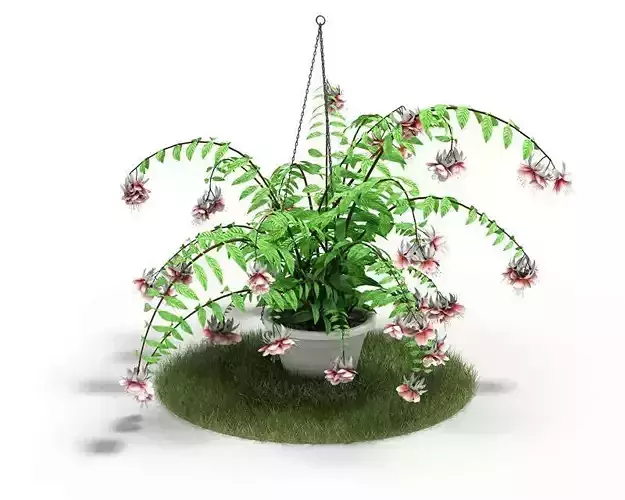 Green Fern With Pink And White Flowers Plant
