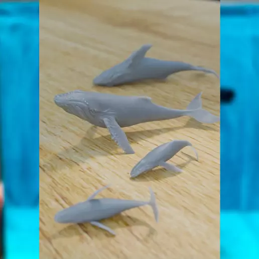FAMILY WHALES FOR WATER DIORAMA 3D print model