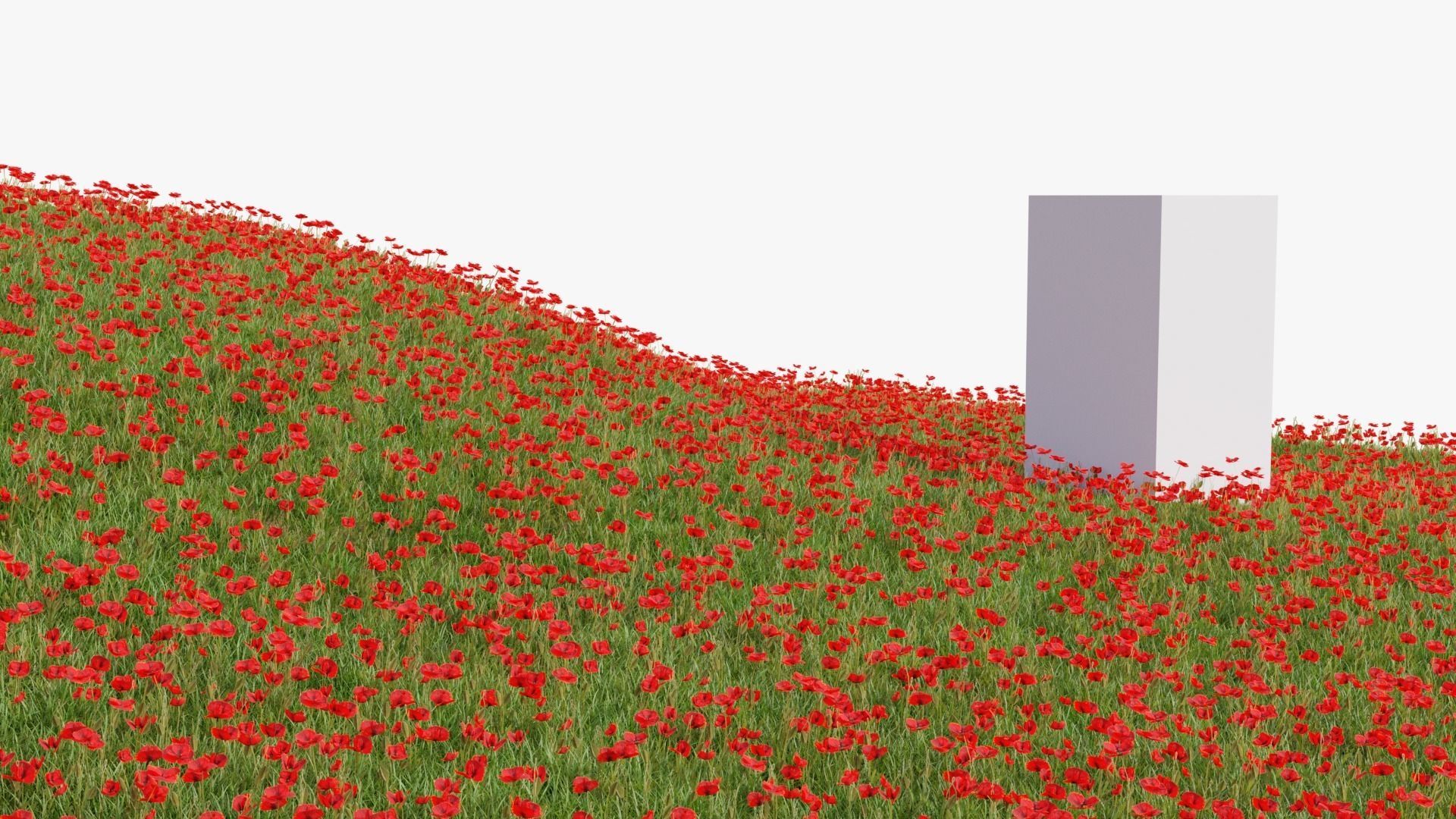 Grasses and Flower Field Package 3D Model Collection_47