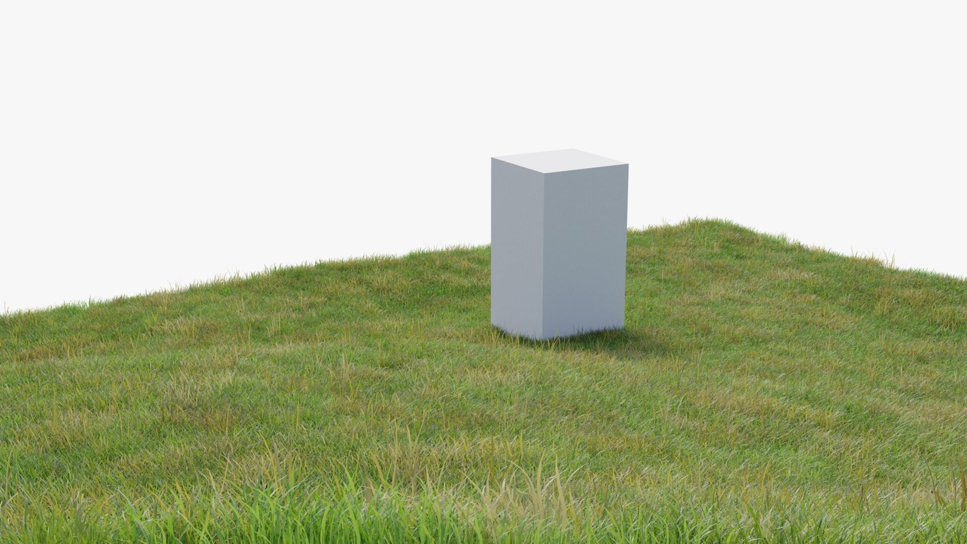 Grasses and Flower Field Package 3D Model Collection_1